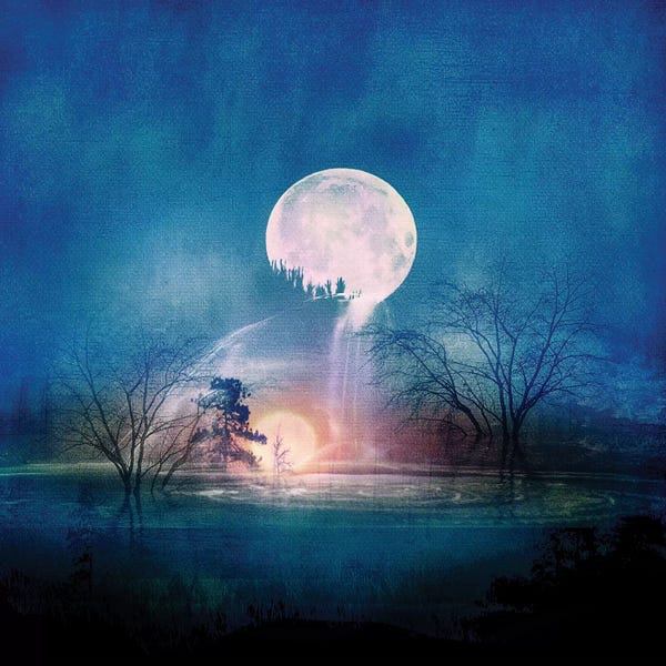 Lake Sunrises & Sunsets: Moon Above, Sun Below by Viviana Gonzalez