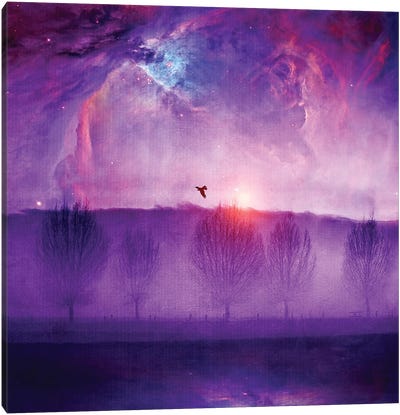 Orion Nebula II Canvas Art Print - Viviana Gonzalez