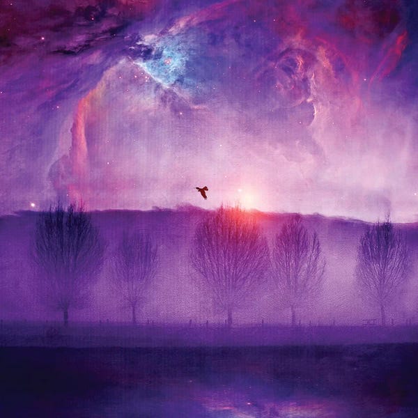 Lake Sunrises & Sunsets: Orion Nebula II by Viviana Gonzalez