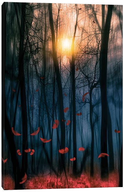 Red Feather Dance Canvas Art Print - 3-Piece Tree Art