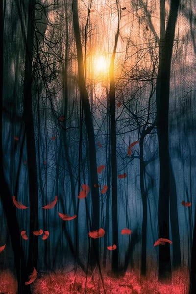 Feathers: Red Feather Dance by Viviana Gonzalez