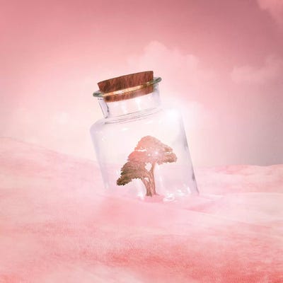 Saving Nature II by Viviana Gonzalez acrylic art print