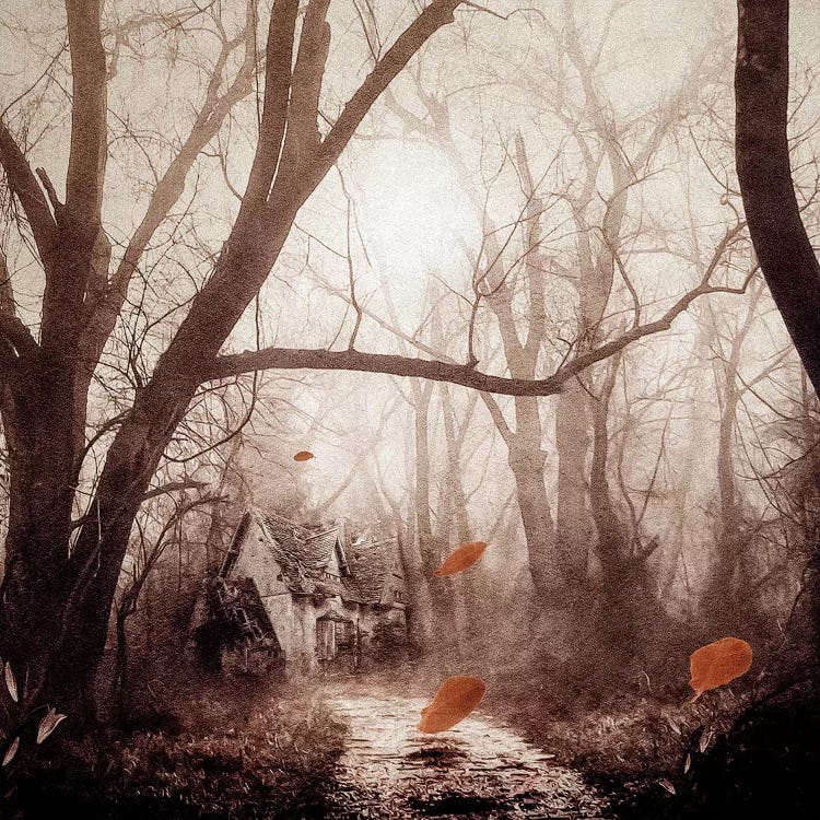 Secret Place by Viviana Gonzalez wall art