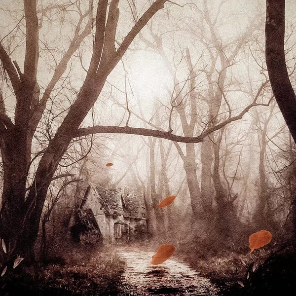 Trails, Paths & Roads: Secret Place by Viviana Gonzalez