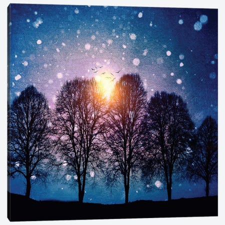 Sounds Of Winter Canvas Print #VGO59} by Viviana Gonzalez Canvas Art