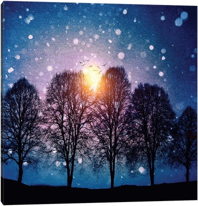 Sounds Of Winter Canvas Art Print - Winter Art
