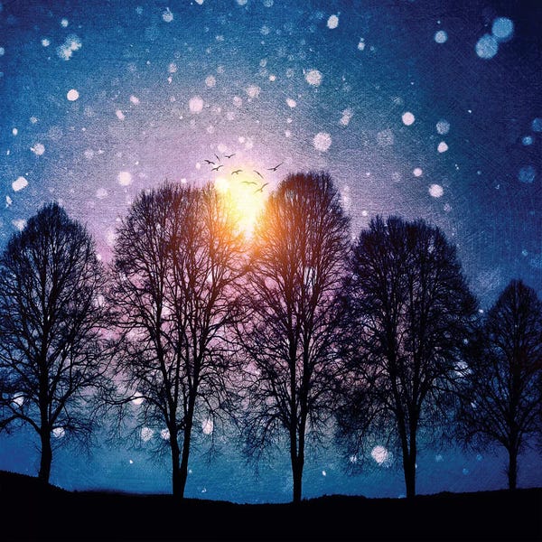 Snow: Sounds Of Winter by Viviana Gonzalez