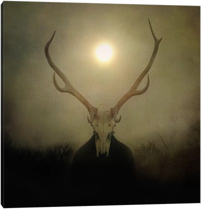 Surreal Dreams, Chapter III Canvas Art Print - Deer Art