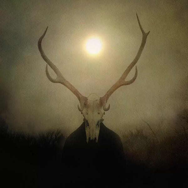 Viviana Gonzalez: Surreal Dreams, Chapter III by Viviana Gonzalez