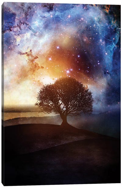 Wish You Were Here, Chapter III Canvas Art Print - Astronomy & Space