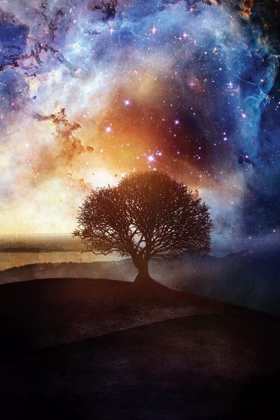 Astronomy & Space: Wish You Were Here, Chapter III by Viviana Gonzalez