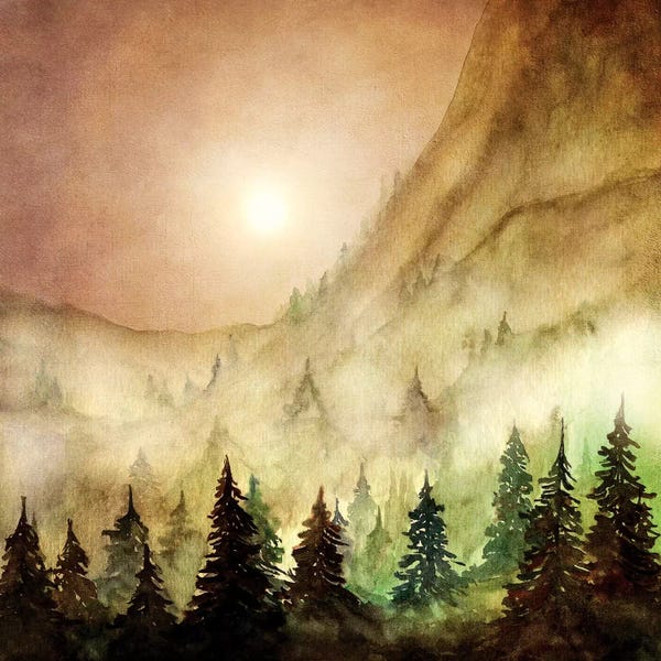 Evergreen Trees: All I Need by Viviana Gonzalez