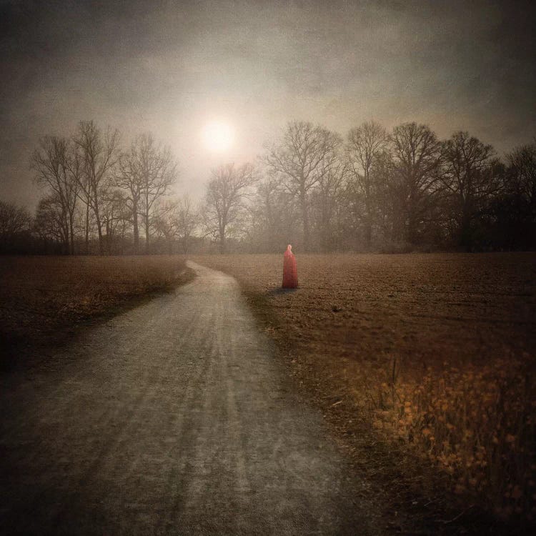 I Make My Own Path by Viviana Gonzalez wall art