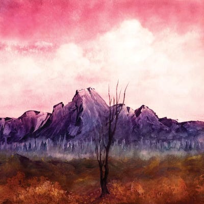 Over The Mountains II by Viviana Gonzalez framed canvas print