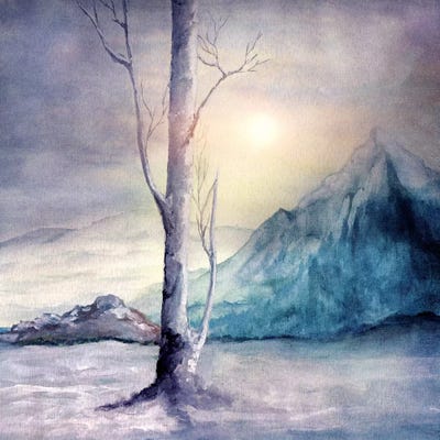 Winter Melody by Viviana Gonzalez framed canvas print