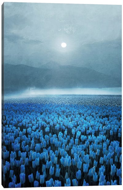Magical Tulips Canvas Art Print - Art by 50 Women Artists