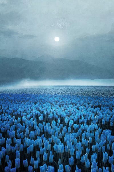 Tulips: Magical Tulips by Viviana Gonzalez