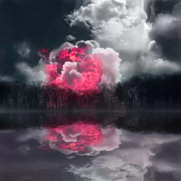 Mist & Fog: Reflex by Viviana Gonzalez