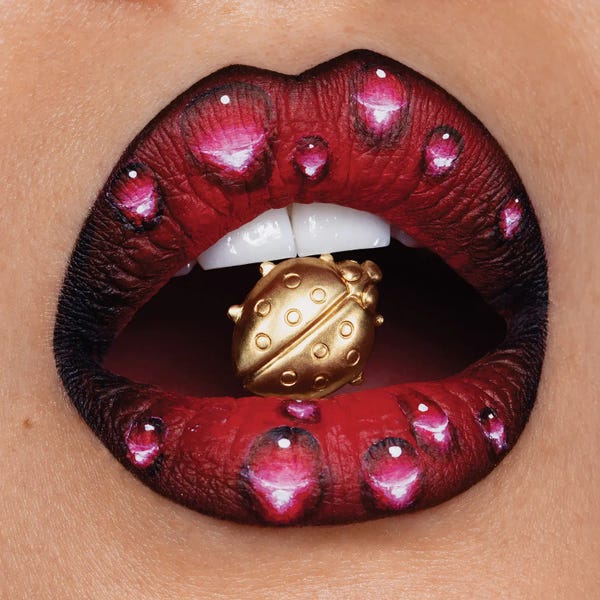 Ladybug