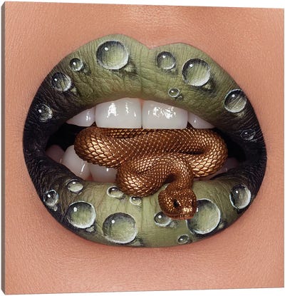 Snake Canvas Art Print - Lips Art