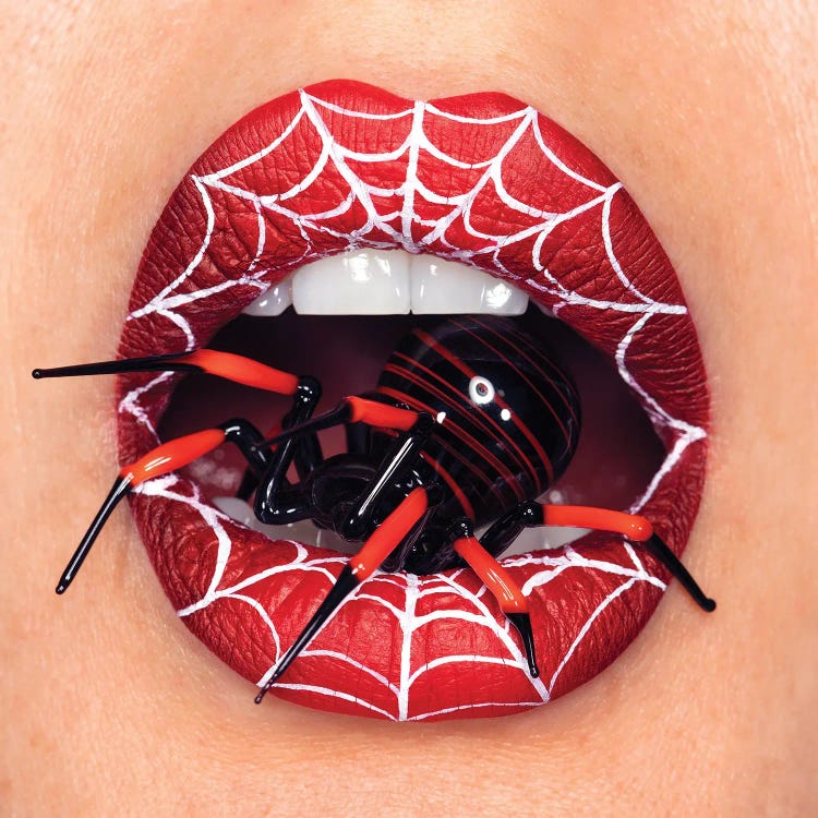 Black Widow by Vlada Haggerty wall art