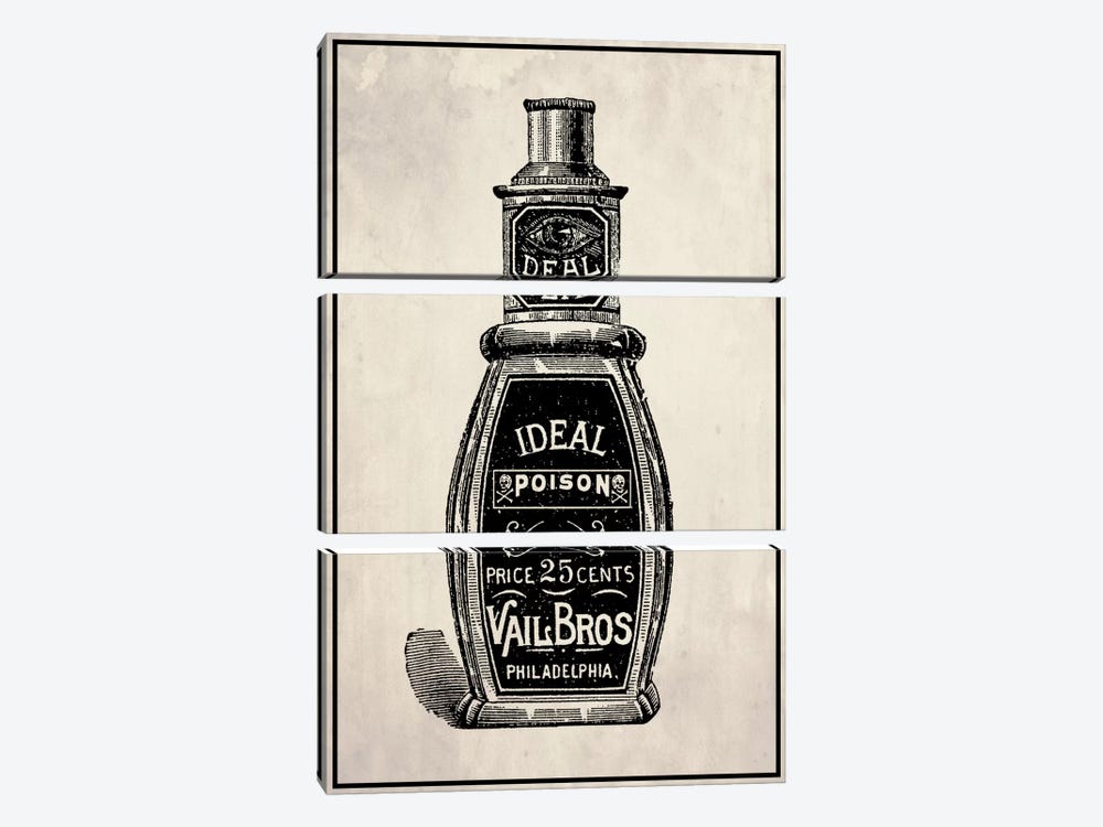 Poison Bottle by 5by5collective 3-piece Canvas Artwork