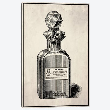 Poison Perfume Canvas Print #VHI5} by 5by5collective Canvas Artwork