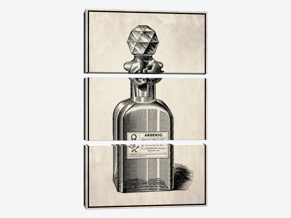Poison Perfume by 5by5collective 3-piece Canvas Art