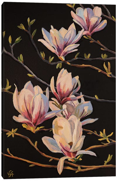Magnolia Tree Canvas Art Print - Alona Vakhmistrova