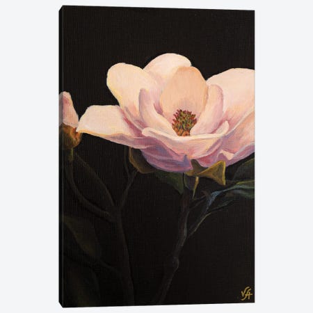 Magnolia Blossom Canvas Print #VHM24} by Alona Vakhmistrova Canvas Art