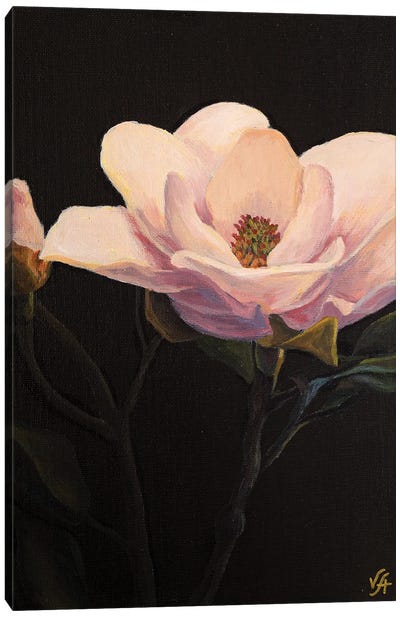 Magnolia Blossom Canvas Art Print - Alona Vakhmistrova