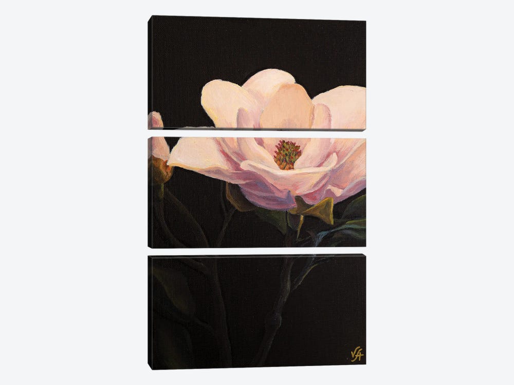 Magnolia Blossom by Alona Vakhmistrova 3-piece Canvas Print