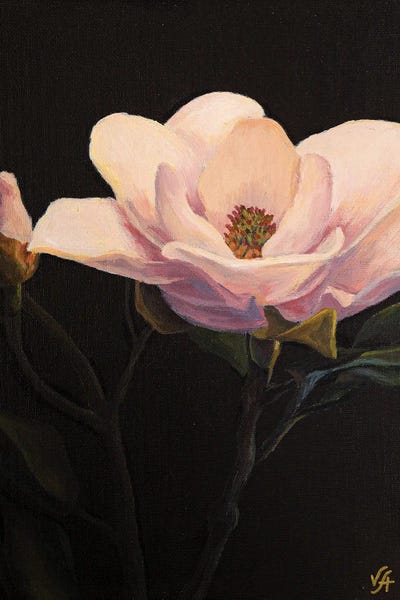 Magnolias: Magnolia Blossom by Alona Vakhmistrova