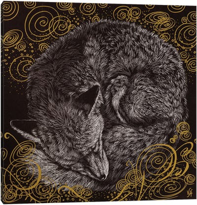 Sweet Dream Fox I Canvas Art Print - Sleeping & Napping Art