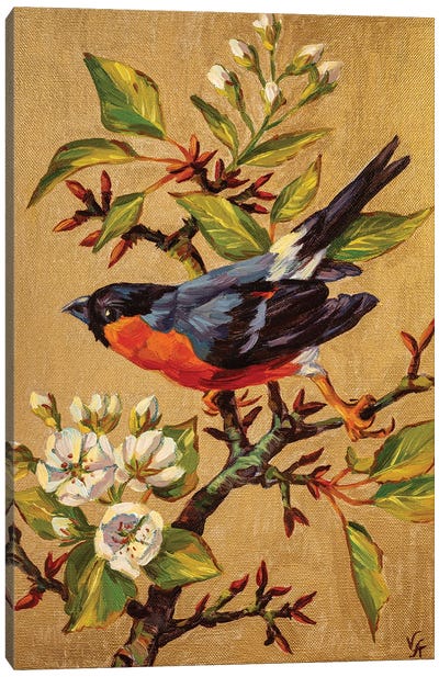 Spring Time Canvas Art Print - Robin Art