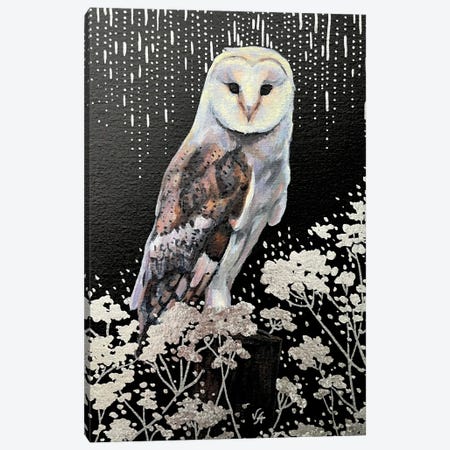 Barn Owl Canvas Print #VHM49} by Alona Vakhmistrova Canvas Print