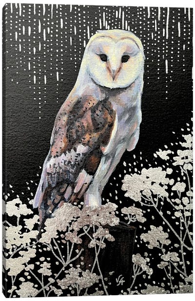 Barn Owl Canvas Art Print - Alona Vakhmistrova
