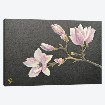 Magnolia Canvas Print #VHM55} by Alona Vakhmistrova Canvas Print