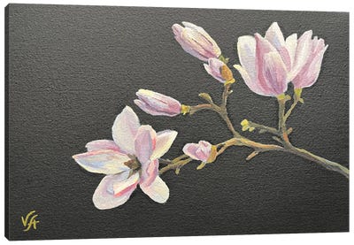 Magnolia Canvas Art Print - Alona Vakhmistrova
