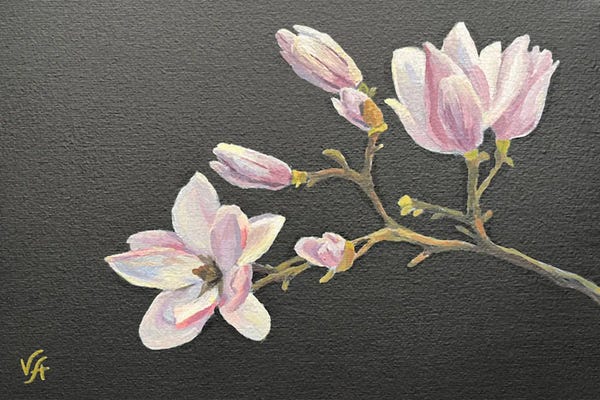 Magnolias: Magnolia by Alona Vakhmistrova