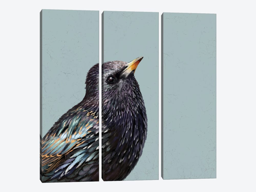 Starling by Vicki Hunt 3-piece Canvas Wall Art