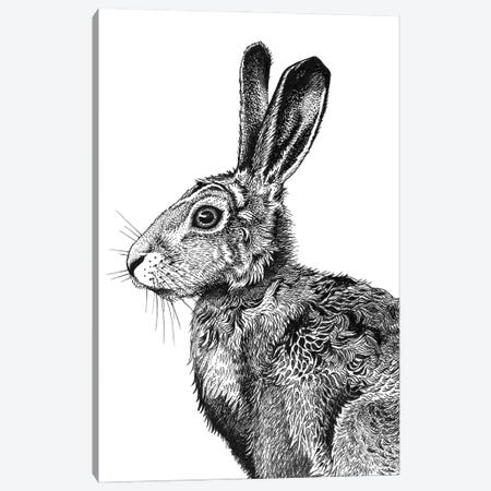 Hare I Canvas Print #VHN16} by Vicki Hunt Canvas Wall Art