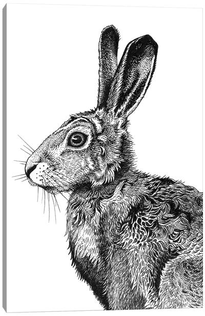 Hare I Canvas Art Print
