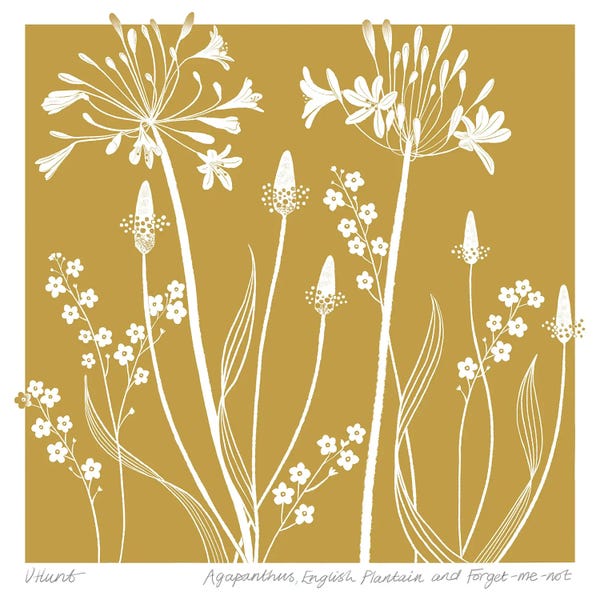 Vicki Hunt: Agapanthus, English Plantain And Forget Me-Not by Vicki Hunt