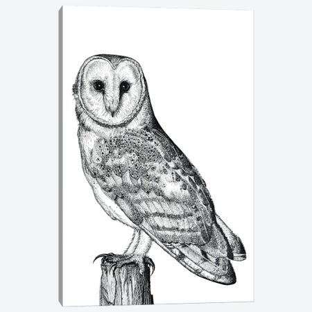Barn Owl Canvas Print #VHN21} by Vicki Hunt Canvas Artwork