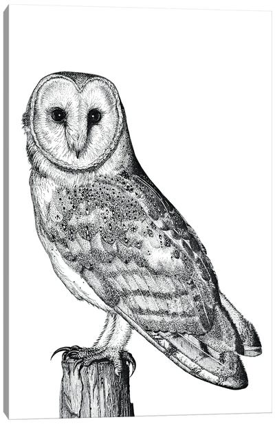 Barn Owl Canvas Art Print - Vicki Hunt