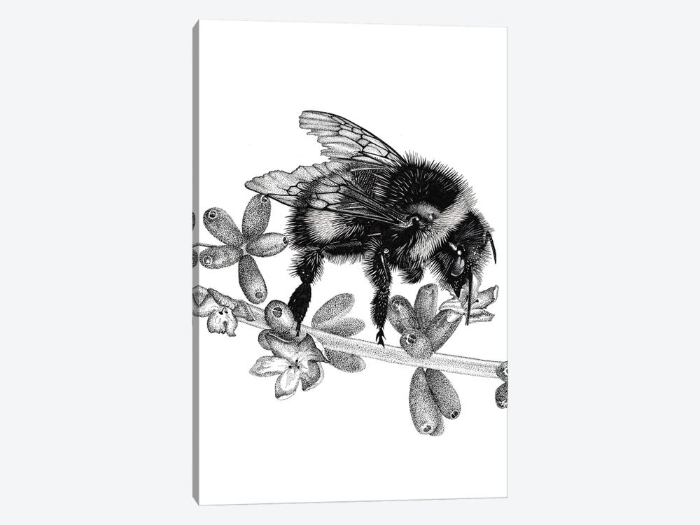 Bee On Lavander by Vicki Hunt 1-piece Canvas Print