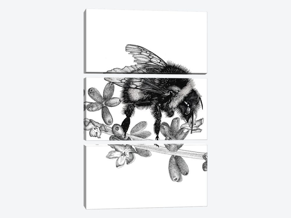 Bee On Lavander by Vicki Hunt 3-piece Canvas Print