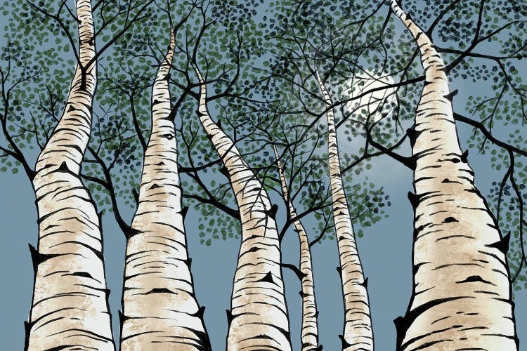 Birch Night by Vicki Hunt wall art