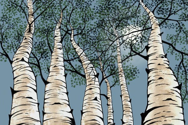 Birch Trees: Birch Night by Vicki Hunt